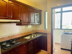 Tanglin Regency (D10), Condominium #534181461